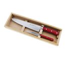 Coffret 2 Couteaux De Cuisine Rouge - C000a5p0p69048