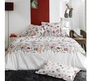 Parure De Lit Percale Petite Folie Rose 140x200