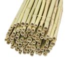 Canisse En Bambou 1 X 1,8 M