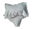 Coussin De Voyage - 40 X 55 - 200grs - 3998