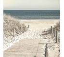 Tableau Sur Verre Descente Vers La Plage 30x30 Cm