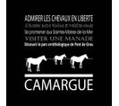 Tableau Sur Toile Camargue Noir 30x30 Cm