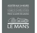 Tableau Sur Toile Le Mans Gris 30x30 Cm
