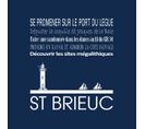 Tableau Sur Toile Saint-brieuc Navy 30x30 Cm