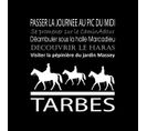 Tableau Sur Toile Tarbes Noir 30x30 Cm