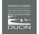 Tableau Sur Toile Dijon Gris 30x30 Cm