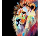 Tableau Sur Toile Lion Coloré 30x30 Cm