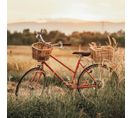 Tableau Sur Toile Vélo Dans Les Blés 90x90 Cm