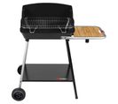 Barbecue Au Charbon De Bois Exel Duo Grill