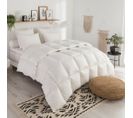 Couette Duvet Tradition Temperee - 70% Duvet D'oie 240 X 260 Cm Blanc