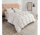 Couette Thermoduv Chaude - 90% Duvet D'oie 220 X 240 Cm Blanc