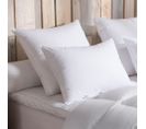 Oreiller 90% Duvet D'oie Moelleux 65 X 65 Cm Blanc