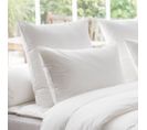 Oreiller Thermoduv 70% Duvet D'oie Medium 40 X 60 Cm Blanc