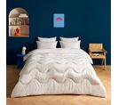 Couette Anti Punaises De Lit Chaude 200 X 200 Cm Blanc