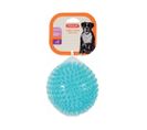 Jouet Pour Chien Balle Avec Picots Pop 13 Cm Turquoise