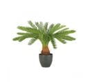 Palmier Artificiel Cycas 70cm