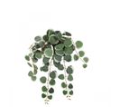 Eucalyptus Artificiel Retombant 40cm Lot De 2