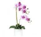 Orchidees Artificielles Fuchsia 55cm