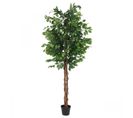 Ficus Artificiel Vert 210cm