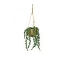 Succulente Artificielle Suspension 60cm