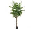 Ficus Artificiel Vert 180cm