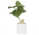 Philodendron Artificiel Pot Ceramique 25cm