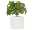 Pilea Artificiel Pot Ciment 23cm