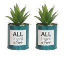 Succulente Artificielle En Pot 17cm Lot De 2