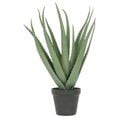 Aloe Vera Artificiel 45cm