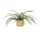 Fougere Artificielle Pot Effet Cannage 40cm