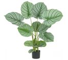 Plante Verte Calathea Artificiel 100cm