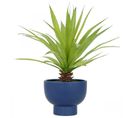 Agave Artificiel Pot Ceramique Bleu 60cm