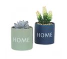 Succulentes Artificielles Home 10cm Lot De 2