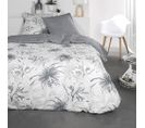 Housse De Couette 240x260 Sunshine Orba + 2 Taies 100% Coton 57 Fils