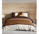 Housse De Couette 240x220 Toffee + 2 Taies Coton 57 Fils