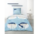 Housse De Couette 140x200 Blogueur + Taie 100% Coton