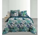 Housse De Couette 260x240 + 2 Taies Colibri Coton Percale 78 Fils