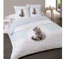 Housse De Couette 240x220 King + 2 Taies Coton 52 Fils