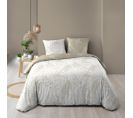 Housse De Couette 240x220 + 2 Taies Cassia Coton 57 Fils