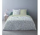 Housse De Couette 240x220 Misaki Vert + 2 Taies