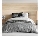 Housse De Couette 240x220 Tayla + 2 Taies Coton 57 Fils