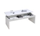 Table Basse 120cm Plateau Relevable Darwin Blanche