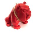 Bulldog Origami Rouge Mat