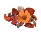 Pot Pourri "essentiel" 200g Mangue