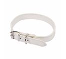 Collier Pour Chien "design Uni" 40cm Blanc