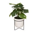 Plante Artificielle Monstera En Pot Céramique Et Support En Métal Noir H 33 Cm