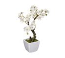 Plante Artificielle Cerisier En Pot H 26 Cm