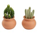 Cactus pot H. 17 cm UTIA Terracotta