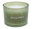 Bougie Parfumée Déco "cosy" 280g Eucalyptus