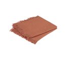 Lot De 2 Serviettes De Table En Coton Terracotta Finition Frange 40 X 40 Cm